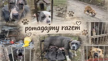 Zbiórka prosimy - miniaturka zdjęcia
