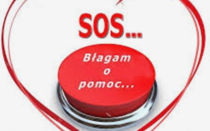 Zbiórka POMOCY.....na dach nad głową... - zdjęcie główne