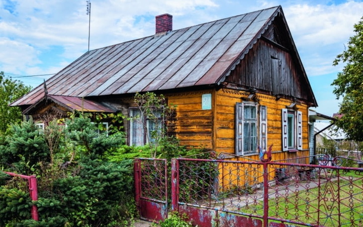 Zbiórka Szukam domu - zdjęcie główne