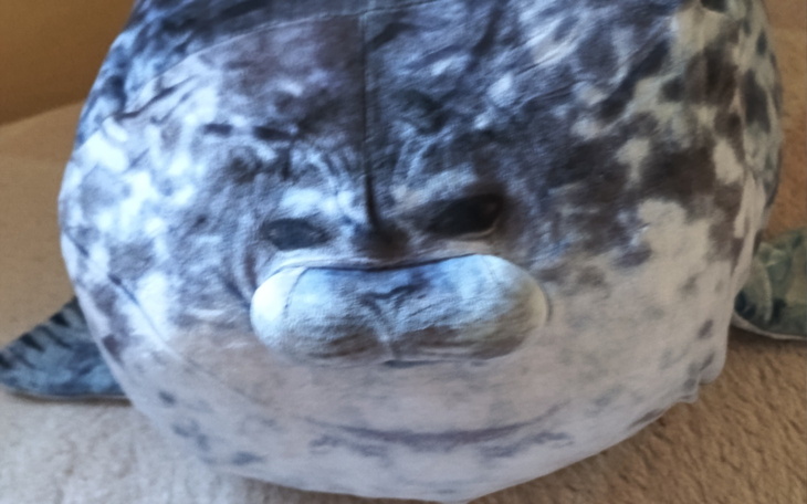 Poduszka w kształcie foki, z wyrazem niezadowolenia.