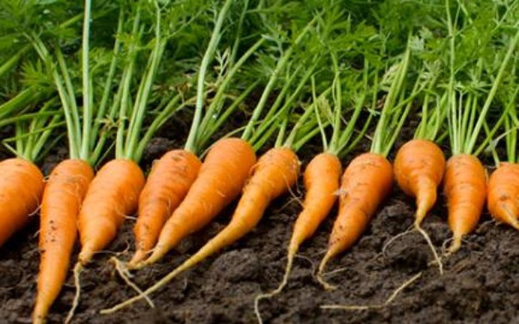 Zbiórka Foodsharing Warszawa - zdjęcie główne