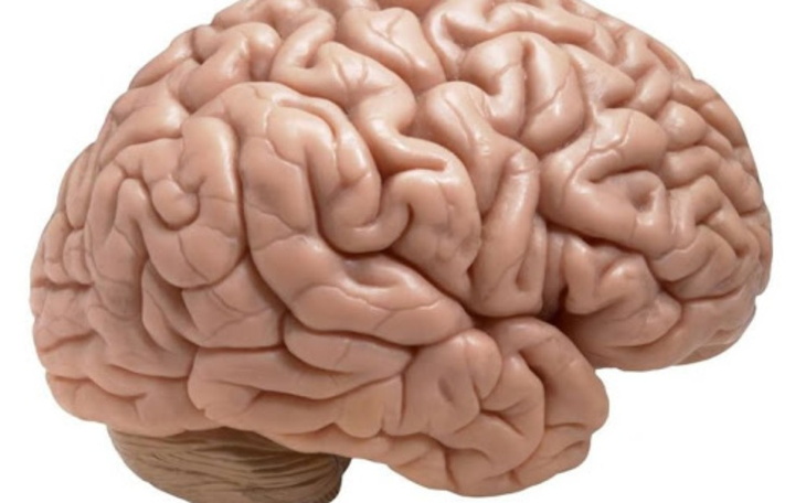 Zbiórka na mózg dla taśka - zdjęcie główne