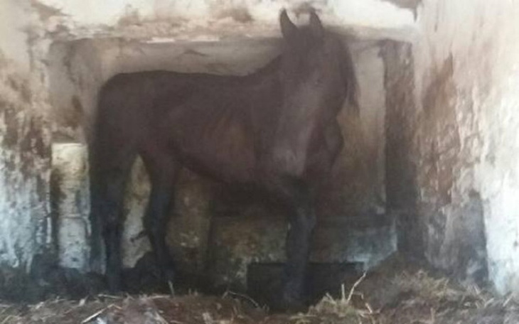 Zbiórka Gospodarstwo jak z koszmaru ... - zdjęcie główne