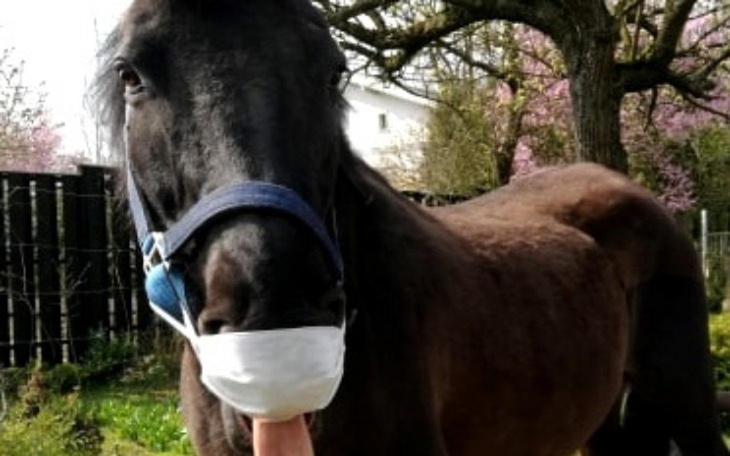 Zbiórka Przetrwać najgorsze - zdjęcie główne