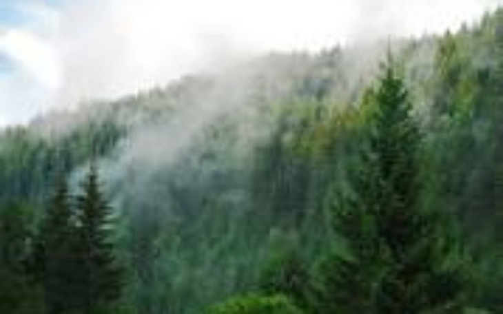 Zbiórka Nowy Żywot - zdjęcie główne