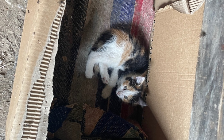 Zbiórka Spłata długów- PILNE - zdjęcie główne