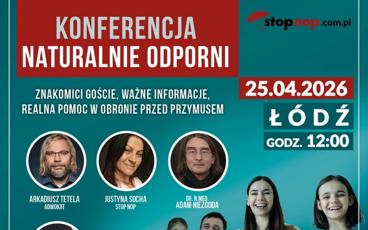 Czarny chihuahua na zielonej trawie, uroczy i czujny.