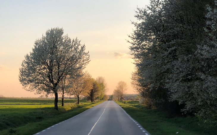 Zbiórka Spełnianie marzeń o przyjacielu - zdjęcie główne