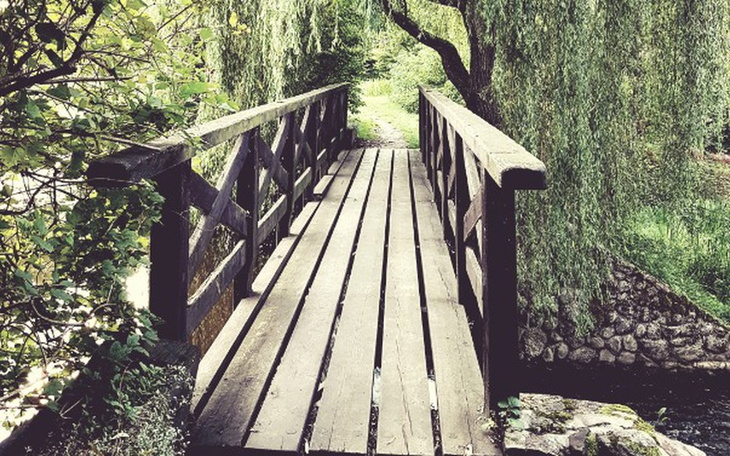 Zbiórka Wycieczka na Madagaskar - zdjęcie główne