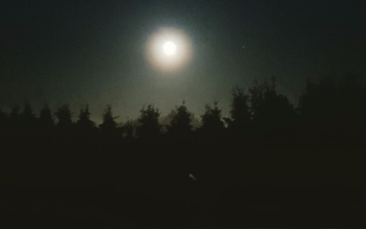 Zbiórka Własna chata - zdjęcie główne