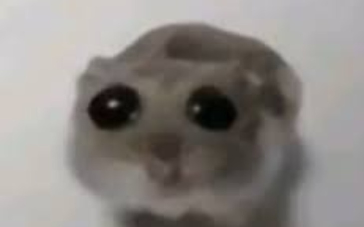 Zbiórka na paczki do wot 130zł - zdjęcie główne