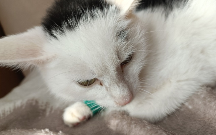 Zbiórka Szadź,on chce żyć - zdjęcie główne