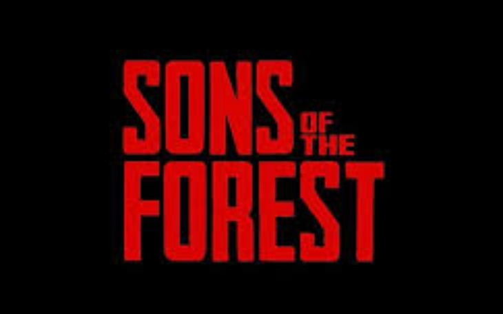 Zbiórka dziecko lasu - zdjęcie główne