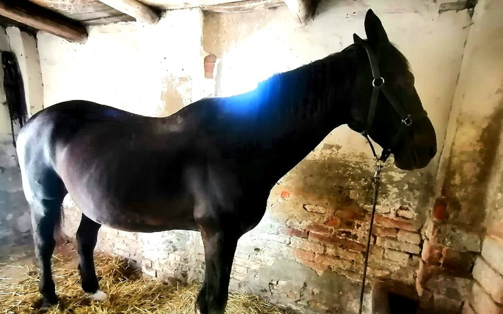 Zbiórka Ikar i jego marzenie o zyciu - zdjęcie główne