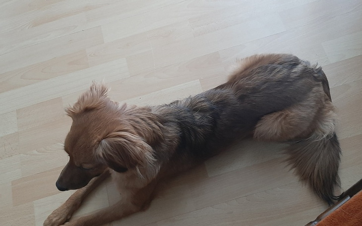 Zbiórka wakacje z dziećmi rodzinnie - zdjęcie główne