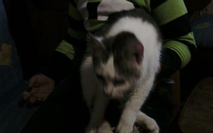 Zbiórka Pomoc dla Pani Ewy i Zwierzaków - zdjęcie główne