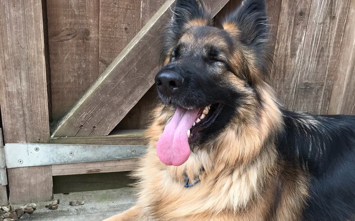 Zbiórka Pomóż Nali pokonać raka - zdjęcie główne