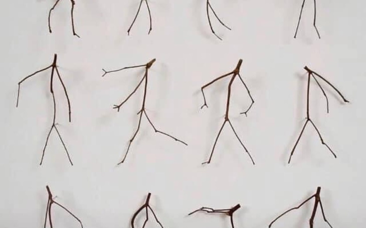 Zbiórka Prawko na podniesienie kwalifika - zdjęcie główne