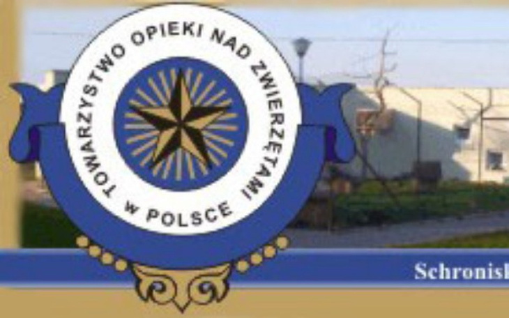 Zbiórka Schronisko dla zwierząt/STARGARD - zdjęcie główne