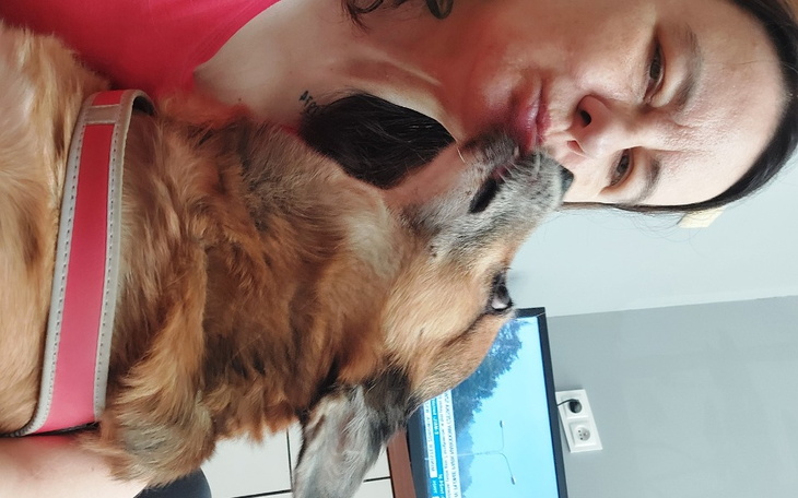 Zbiórka Leczenie szarika - zdjęcie główne