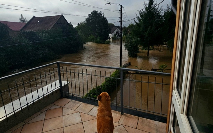 Zbiórka Generalny remont domu po powodzi - zdjęcie główne