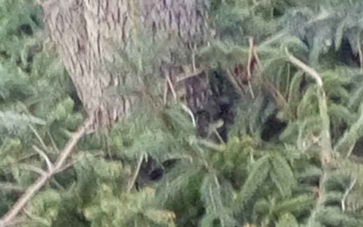 Zbiórka Pilna pomoc po tragedii - zdjęcie główne