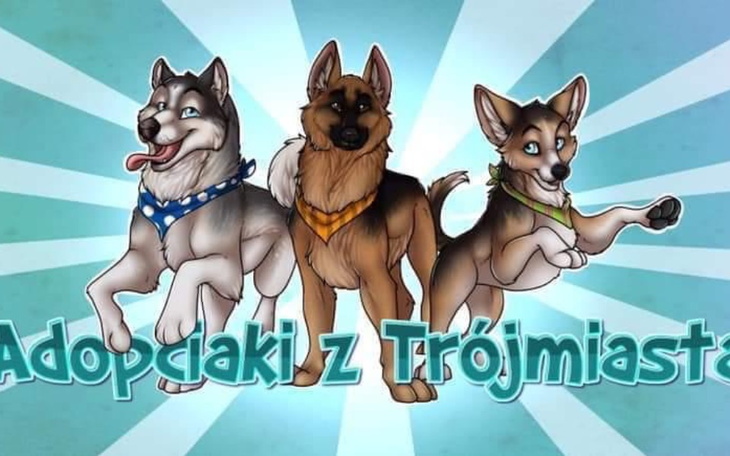 Ilustracja trzech psów, zachęcająca do adopcji.