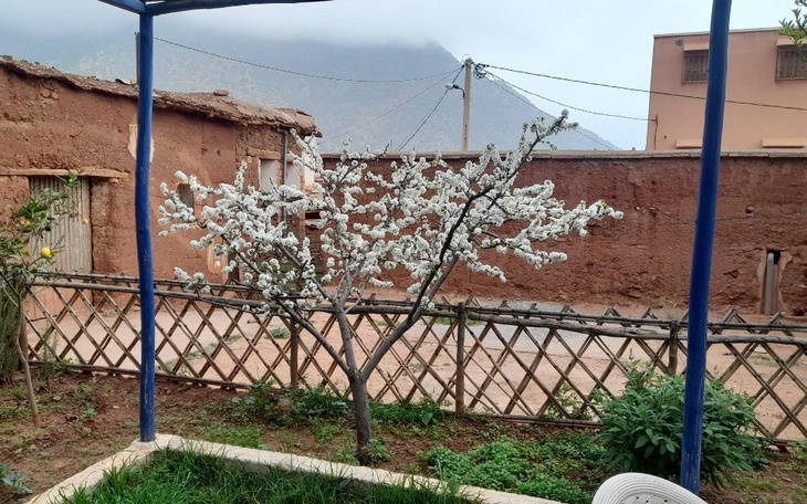 Zbiórka Zbiórka dla Ouirgane Maroko - zdjęcie główne