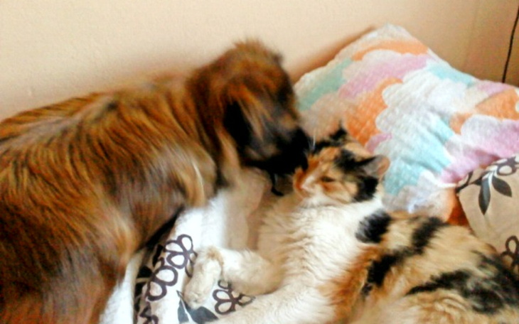 Zbiórka Na spłatę długów, pilne - zdjęcie główne