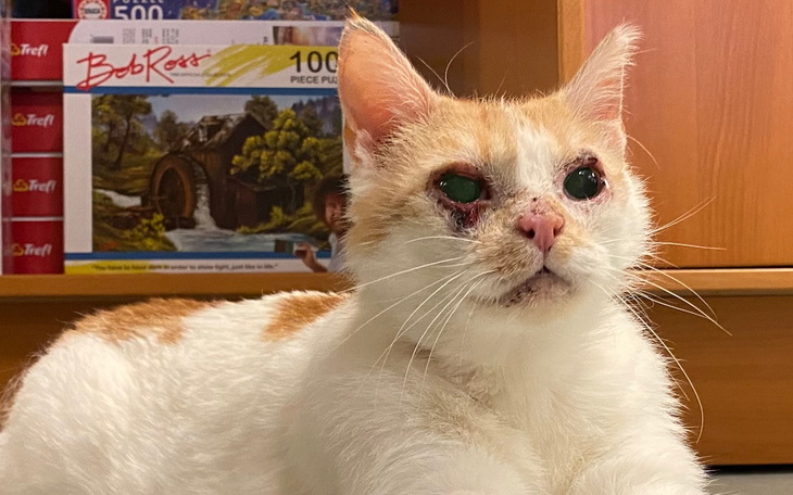 Zbiórka Leczenie Etny - lipiec - zdjęcie główne