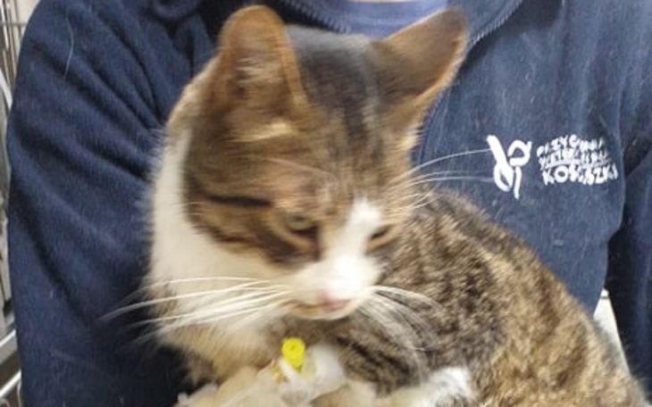 Zbiórka Filo, historia o bezdomności - zdjęcie główne