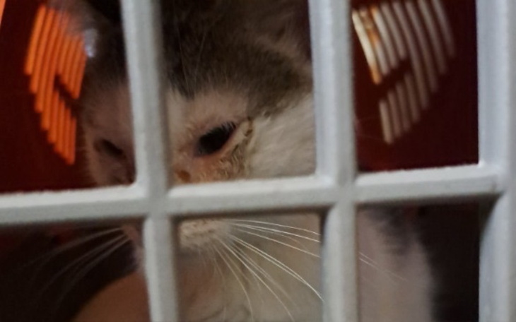 Zbiórka Licząc na cud - zdjęcie główne