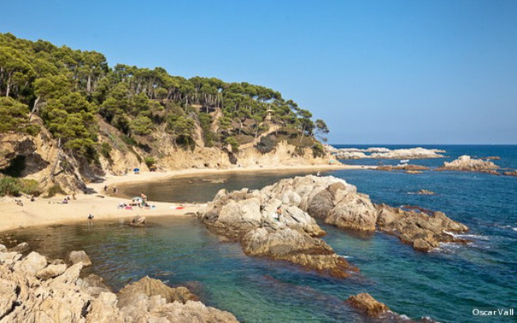 Zbiórka Wakacje marzeń-Hiszpania🏖️ - zdjęcie główne