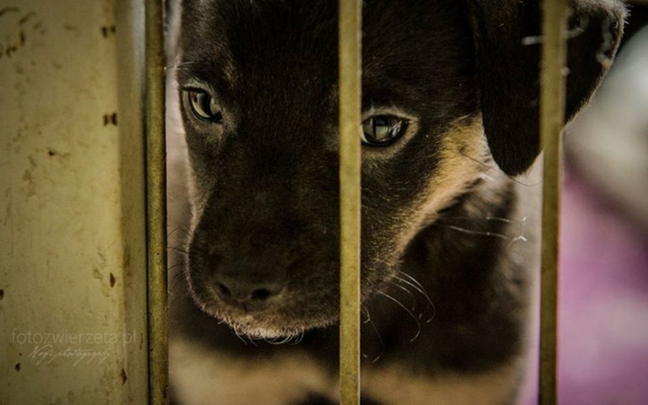 Zbiórka Pomóż nam pomagać ! - zdjęcie główne