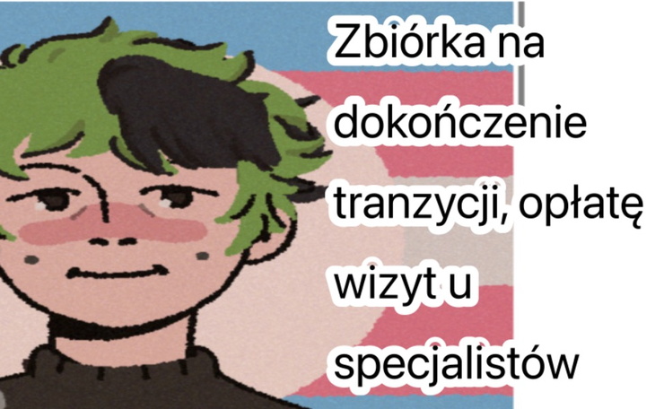 Zbiórka Zbiórka na tranzycje - zdjęcie główne