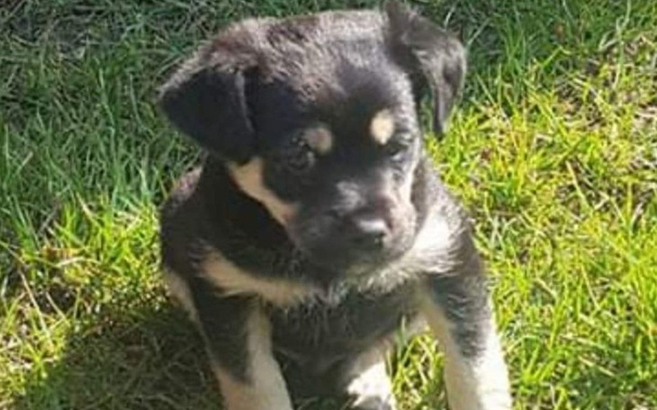 Zbiórka Spłata kredytu mieszkaniowego - zdjęcie główne