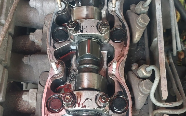 Zbiórka Na zdrowie Misi - zdjęcie główne