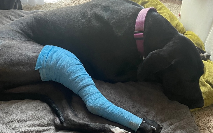 Zbiórka Pomóżmy Farze stanąć na nogi - zdjęcie główne