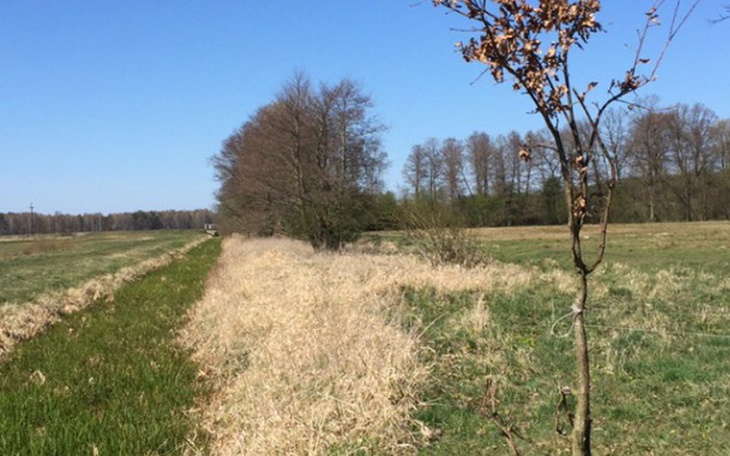 Zbiórka Pieniądze na prawo jazdy - zdjęcie główne