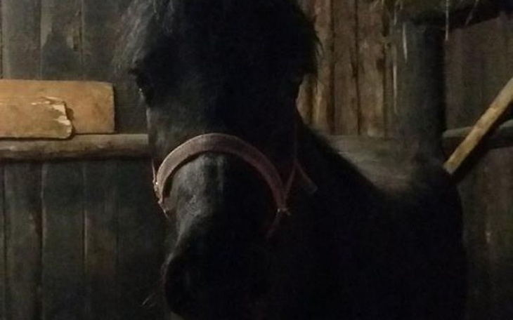 Zbiórka Razem możemy uratować Bakarę! - zdjęcie główne