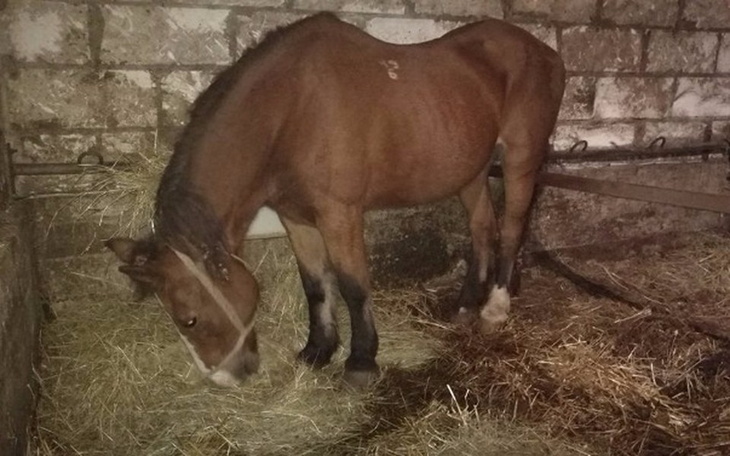 Zbiórka Czas zakończyć podłe życie - zdjęcie główne