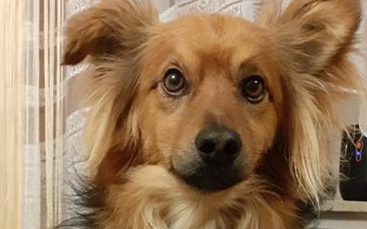 Zbiórka Dżeki - zdjęcie główne