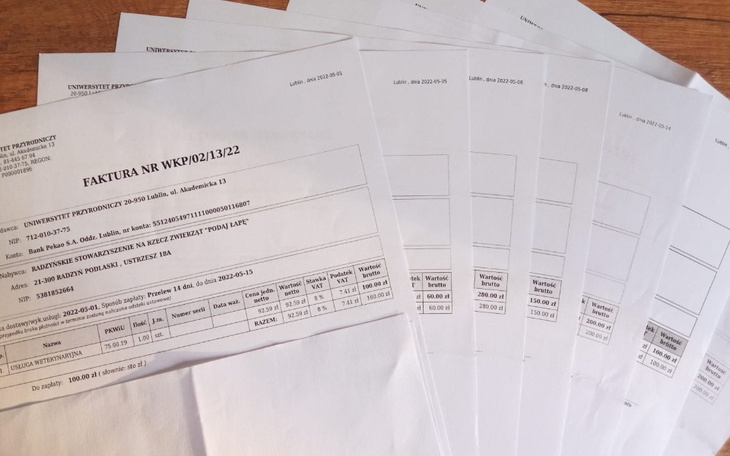 Zbiórka Nie damy się - zdjęcie główne