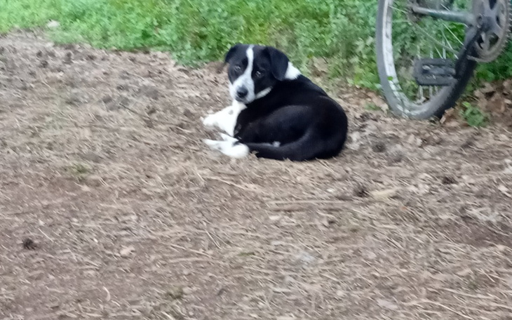 Zbiórka Zbieram na mieszkanie właśnie - zdjęcie główne