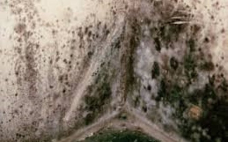 Zbiórka normalne życie dla córki - zdjęcie główne