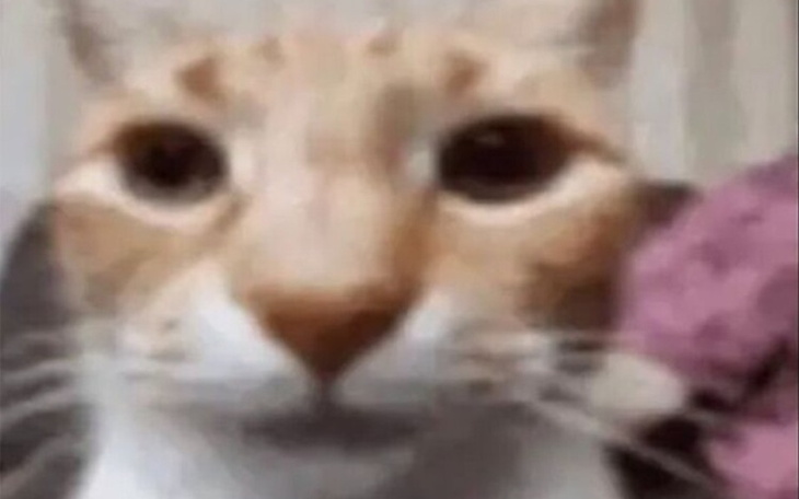 Zbiórka Telefon dla Bartosza - zdjęcie główne