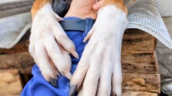 Zbiórka transport Trikolorka - miniaturka zdjęcia