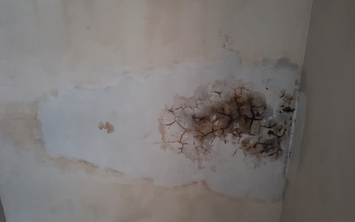 Zbiórka remont sciany w domu - zdjęcie główne