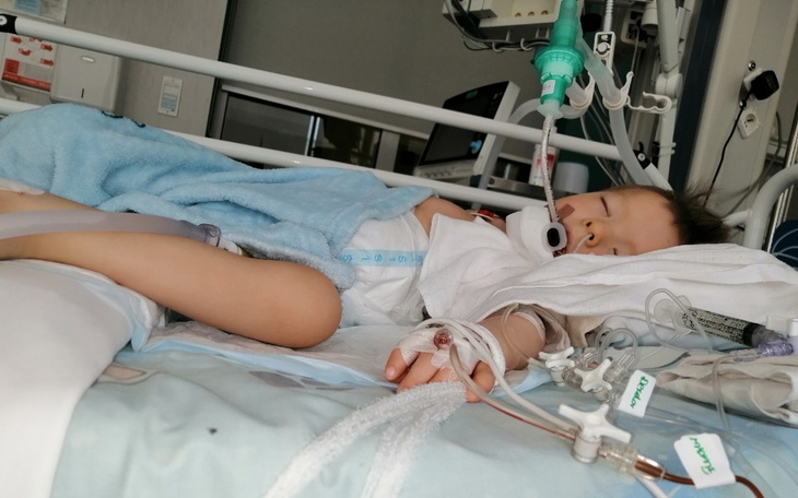 Zbiórka Maksio ponownie walczy z guzem - zdjęcie główne