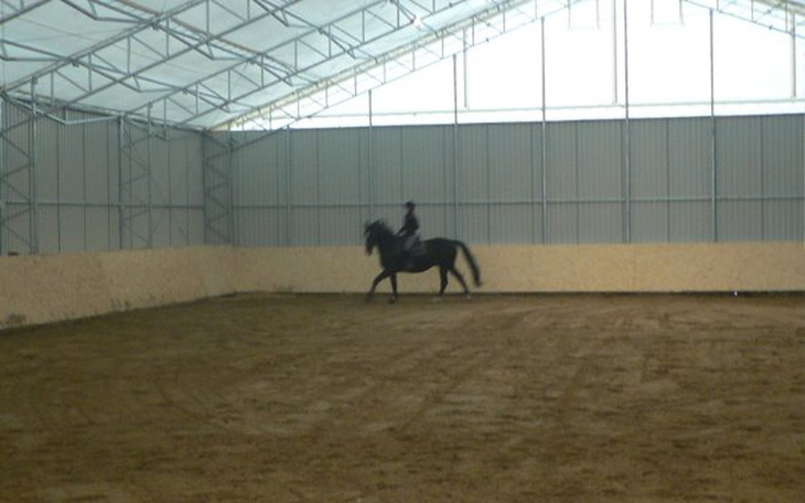 Zbiórka Hala do hipoterapii - zdjęcie główne